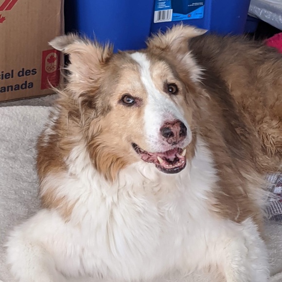 Meet your Posher, Jessa - Picture 1 of 1